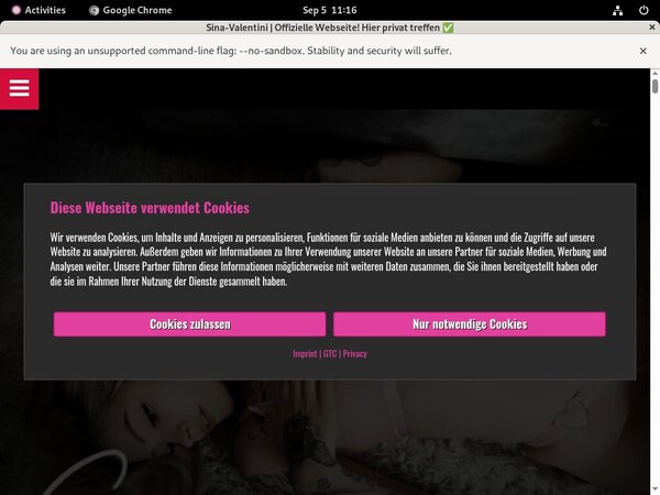 Account For Sina-valentini.de Account For Sina-valentini.de