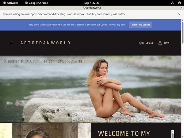 Artofdanworld.com ??? Artofdanworld.com ???