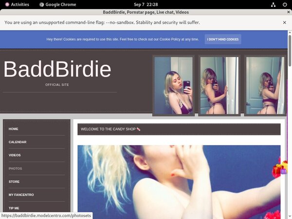 Baddbirdie Site Rip