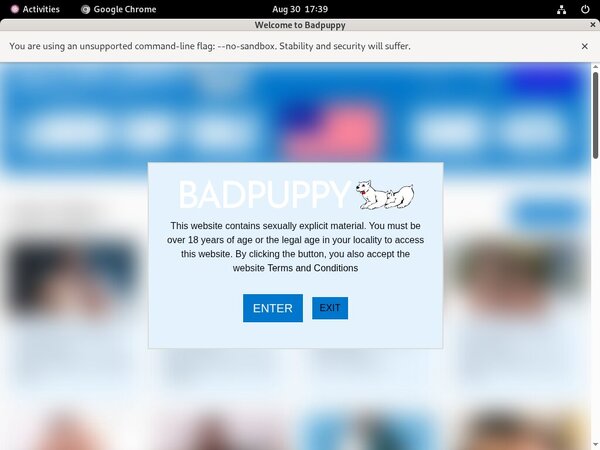 Badpuppy Paypal