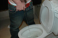 Boys Pissing gay porn