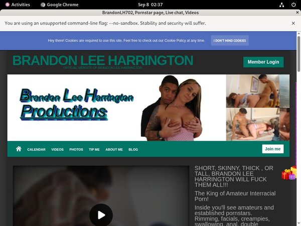 Brandonlh.com Promo Id