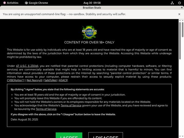 Brazilian Studz Account Logins