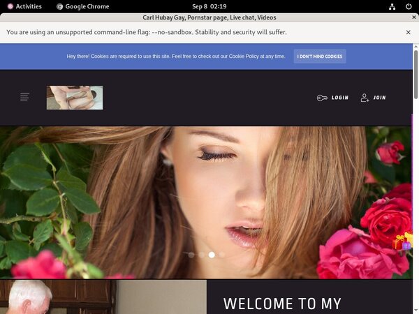 Carl Hubay Gay User Name