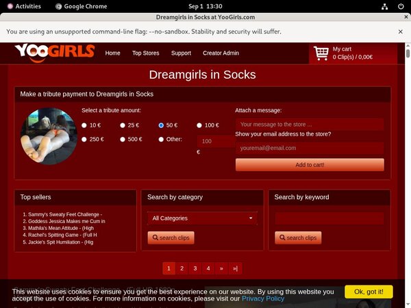 Dreamgirls In Socks Password Login