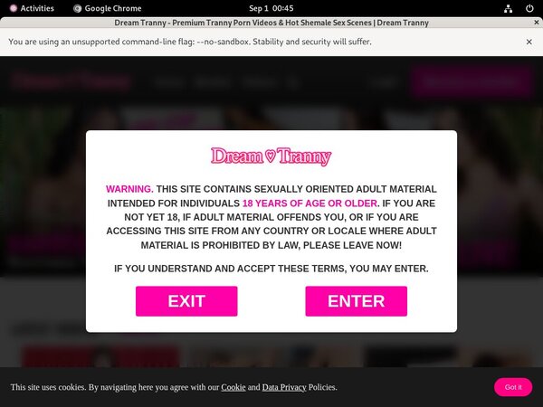 Free Account On Dreamtranny