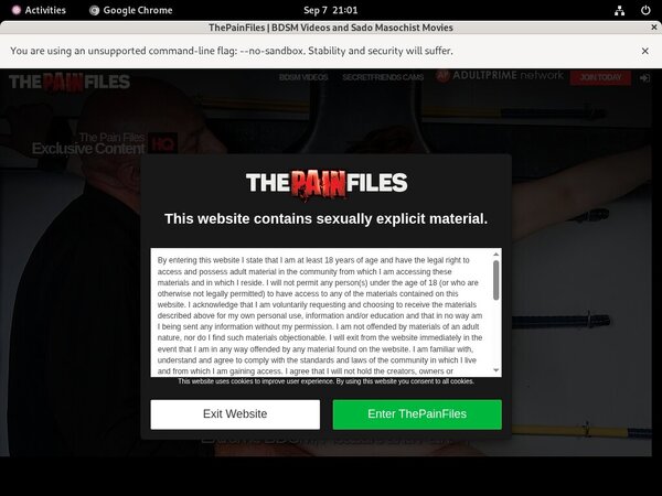 Freies The Pain Files