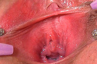 Gape My Pussy Model List s2