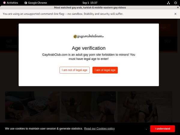 Gayarabclub Sex Movies
