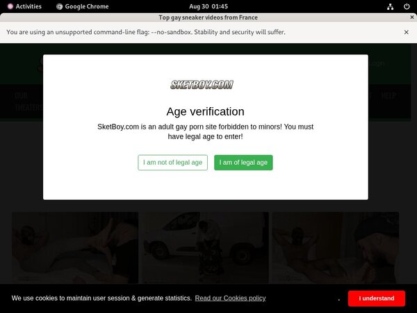 Get Sketboy.com Password Get Sketboy.com Password