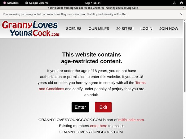 Granny Loves Young Cock Site Rip Dl