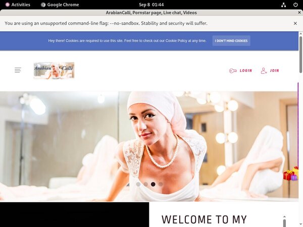 How To Get Free ArabianCalli Account