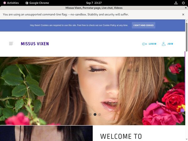 How To Get Missus69.modelcentro.com For Free