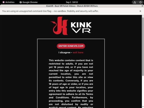 Kinkvr Billing Page