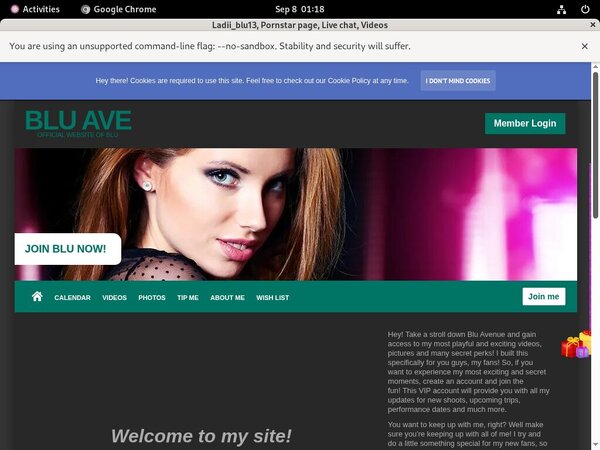 Ladii_blu13 Vendo Page
