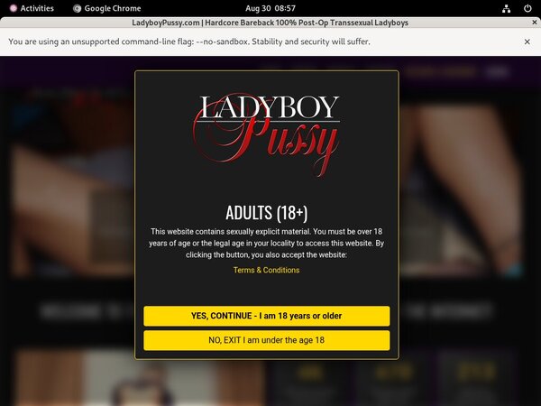 Ladyboy Pussy With Amex