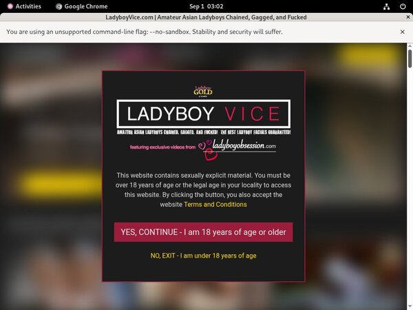 Ladyboy Vice Order Ladyboy Vice Order