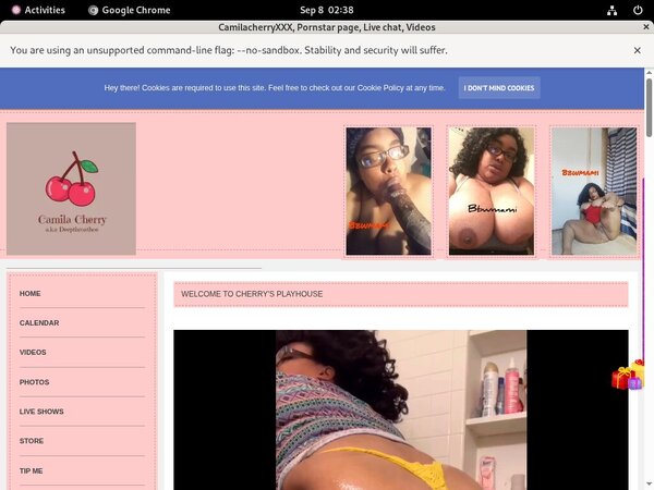 Login For Camilacherryxxx.modelcentro.com