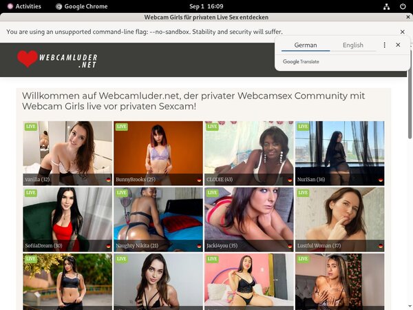 Luder WebCam Free Logins