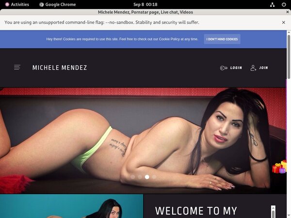 Michelemendez.modelcentro.com Discount Coupon