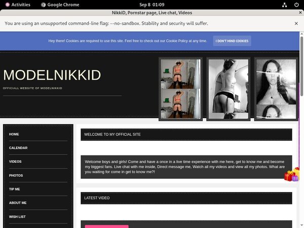 ModelNikki With IBAN / BIC Code