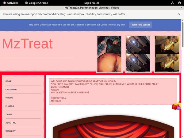 MzTreatz3x Cams