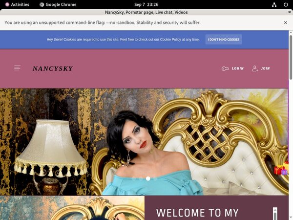 NancySky Free Account Passwords