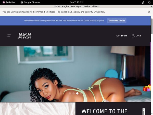 Passwords SarahLace Free