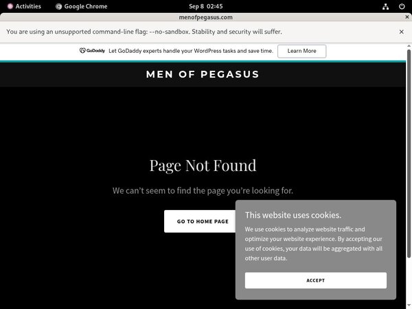 Pegasus_Studios Epoch Page