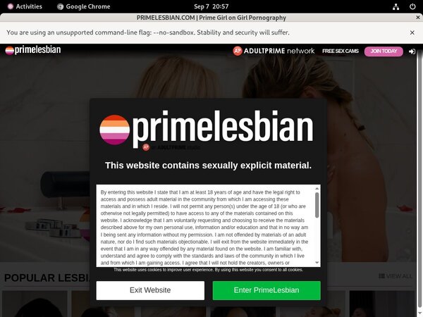 Primelesbian Ebony