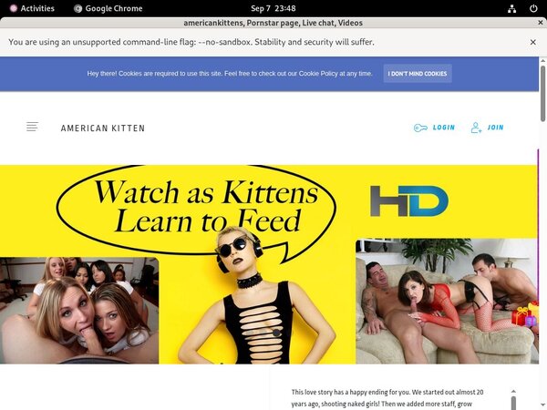 Promo Americankittens