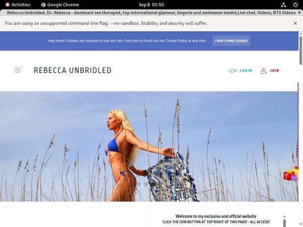 Rebeccaunbridled Coupon Deal