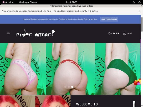Rydenarmani.com Inside Rydenarmani.com Inside