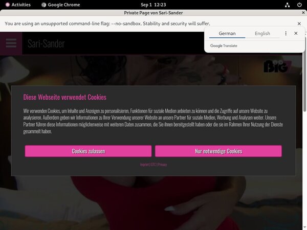 SariSander Discount Access
