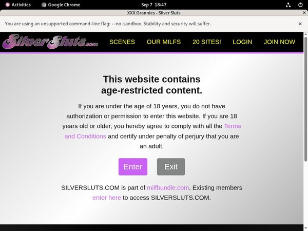 Silver Sluts Porn Pictures