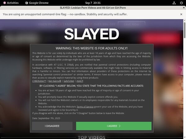 Slayed Site Review