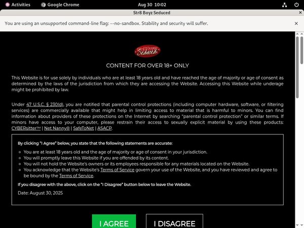 Str8 Boyz Seduced Paypal Account