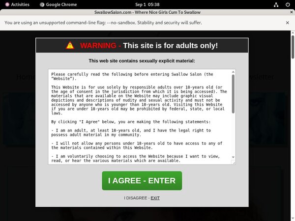 Swallow Salon Hack Account