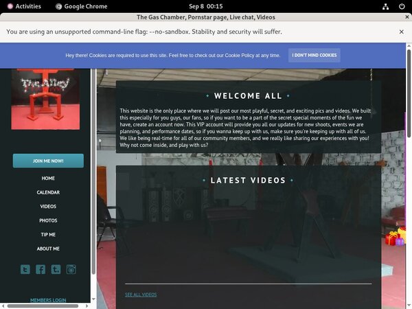 The Gas Chamber Gay Sex