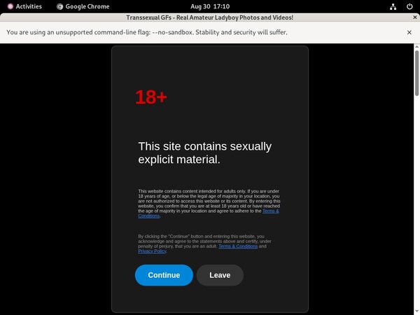 Transsexualgfs.com Review