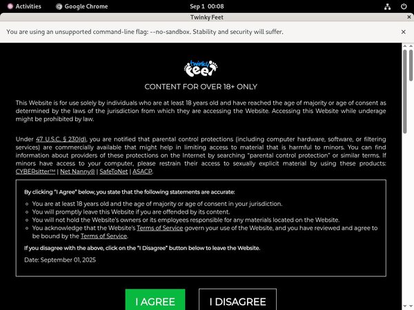 Twinkyfeet.com Password Blog