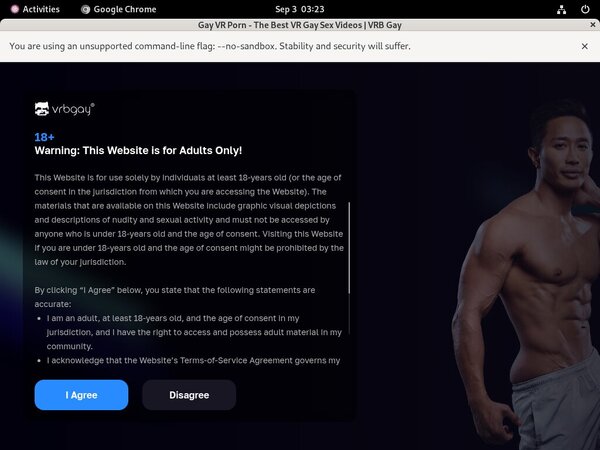 VRB Gay Free Video
