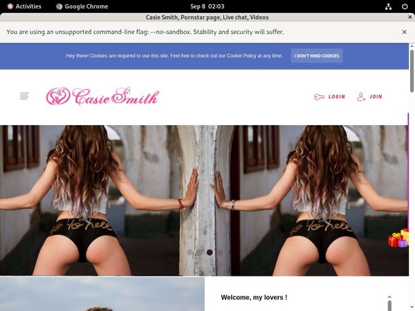 Working Casiesmith.modelcentro.com Login