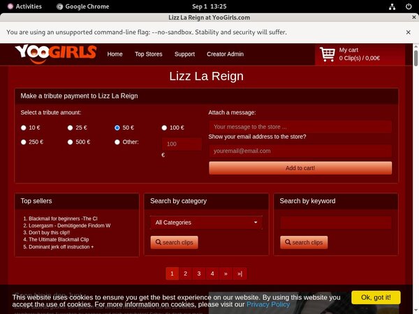 Working Lizz La Reign Account