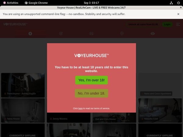 Voyeurhouse Day Trial Membership