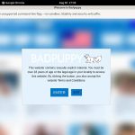 Bad Puppy Login Account