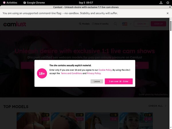 Cam Lust Login Information